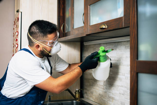 Trusted Crystal Falls, MI Pest Control Experts