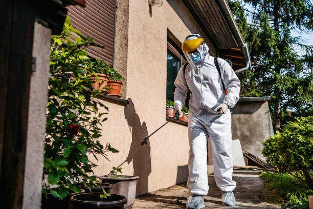 Best Ant Control Services  in Crystal Falls, MI