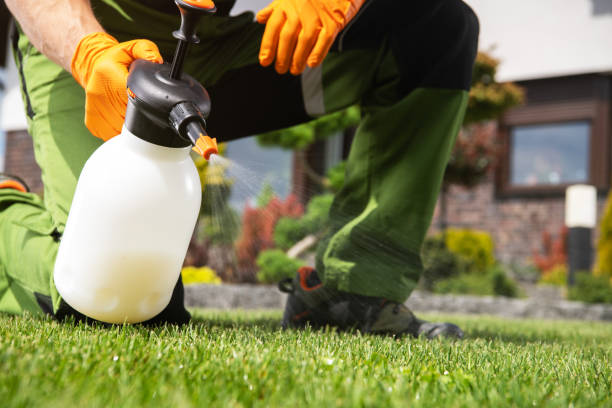 Best Pest Removal Services  in Crystal Falls, MI