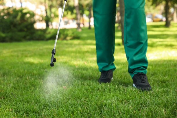 Best Bird Control  in Crystal Falls, MI