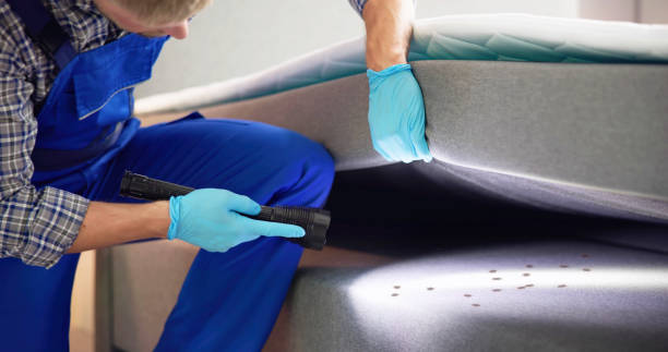 Best Bed Bug Extermination  in Crystal Falls, MI