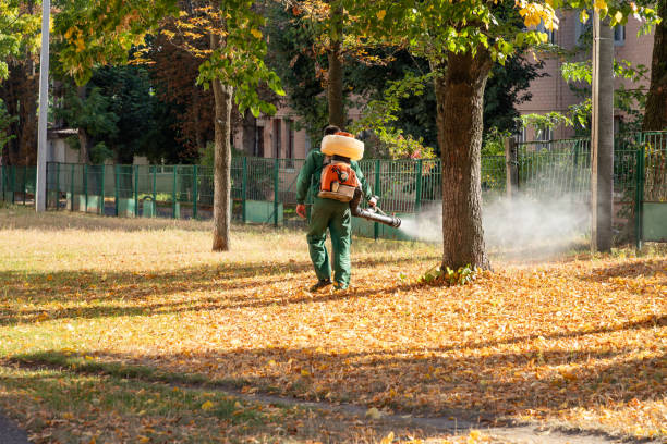 Best Termite Control Services  in Crystal Falls, MI
