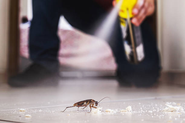 Best Flea Control Services  in Crystal Falls, MI