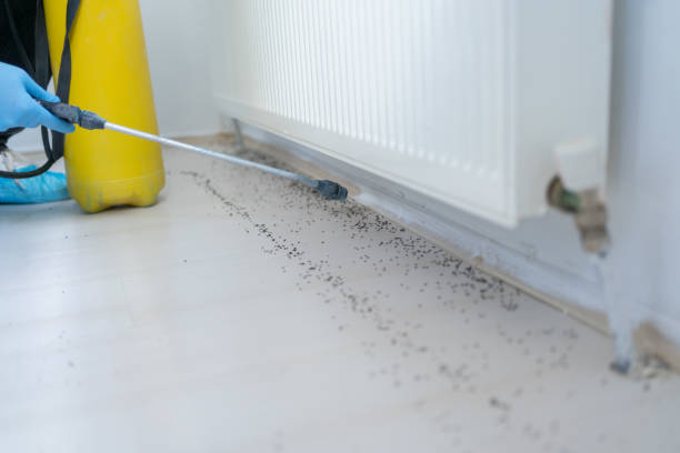  Crystal Falls, MI Pest Control Pros