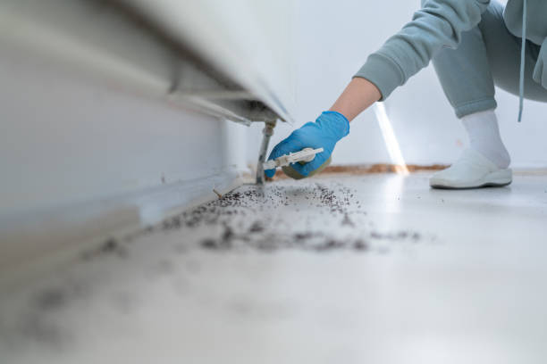 Best Pest Inspection Near Me  in Crystal Falls, MI