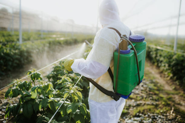Best Exterminator Services  in Crystal Falls, MI
